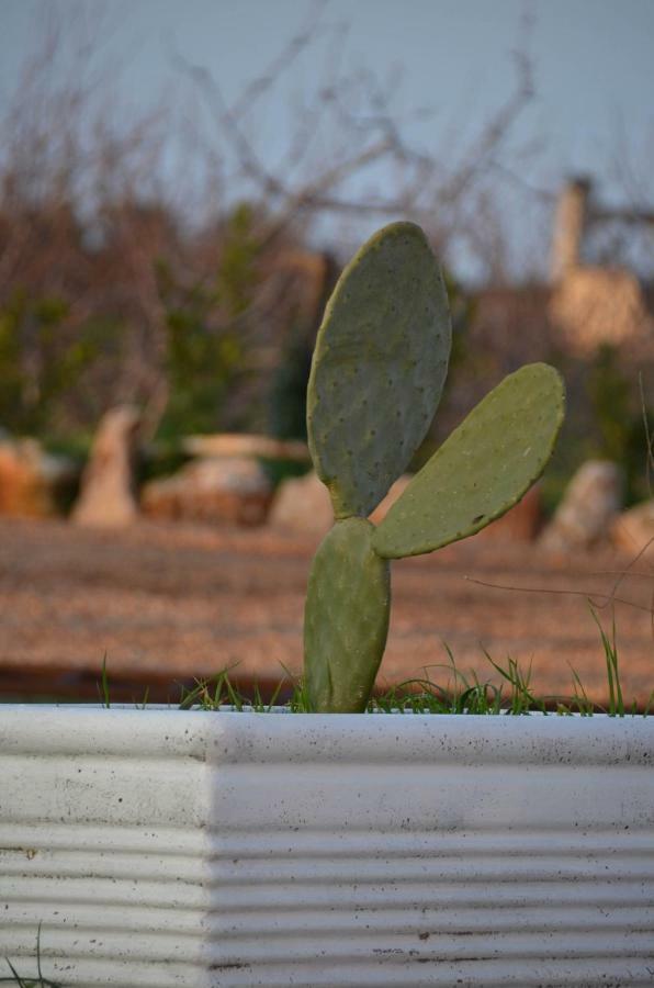 Masseria Poli Country House Conversano Buitenkant foto